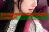 红房子暗网揭秘揭秘暗网黑市背后的秘密与风险探索