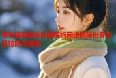 黄色暗网禁地深度解析网络隐秘世界与风险防范指南