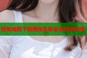 缅甸暗网下载揭秘及安全访问全攻略