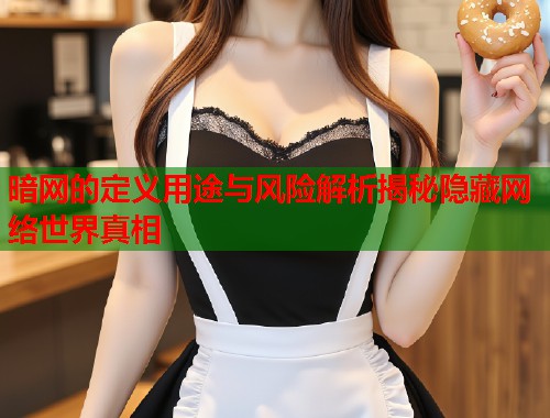 暗网的定义用途与风险解析揭秘隐藏网络世界真相  第1张