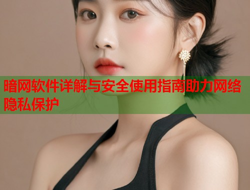 暗网软件详解与安全使用指南助力网络隐私保护  第1张