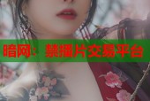 暗网：禁播片交易平台