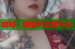 暗网：禁播片交易平台