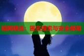 暗网精选：匿名搜索与安全邮箱