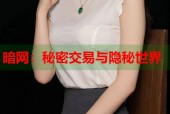 暗网：秘密交易与隐秘世界