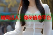 暗网近入：隐秘信息平台