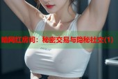 暗网红房间：秘密交易与隐秘社交(1)