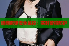暗网密钥安全监控：实时警报防护