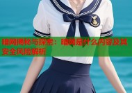 暗网揭秘与探索：暗网是什么内容及其安全风险解析