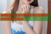 暗网的定义与运作揭秘及其在互联网中的特殊地位与影响
