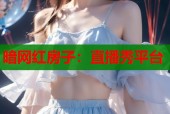 暗网红房子：直播秀平台