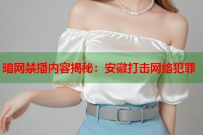 暗网禁播内容揭秘：安徽打击网络犯罪