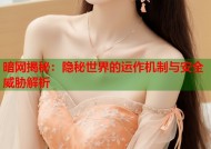 暗网揭秘：隐秘世界的运作机制与安全威胁解析