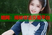 暗网：揭秘非法交易平台