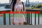 暗网在线网站导航与安全访问全攻略揭秘