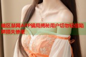 暗区禁网APP骗局揭秘用户切勿轻信陷阱损失惨重