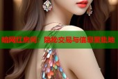 暗网红房间：隐秘交易与信息聚集地