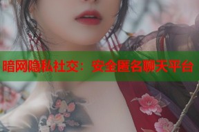 暗网隐私社交：安全匿名聊天平台
