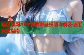 暗区禁网APP需要哪些权限详解及使用安全指南