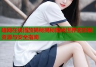 暗网在线播放揭秘揭秘隐秘世界的影视资源与安全指南