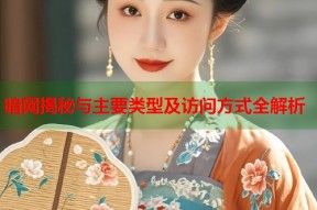 暗网揭秘与主要类型及访问方式全解析