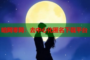 暗网零网：去中心化匿名下载平台