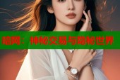 暗网：神秘交易与隐秘世界