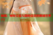 暗网：神秘交易与隐秘信息的黑暗世界(1)