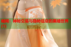 暗网：神秘交易与隐秘信息的黑暗世界(1)