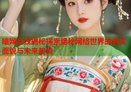 暗网在线揭秘探索隐秘网络世界的真实面貌与未来趋势