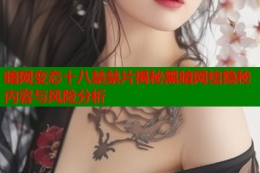 暗网变态十八禁禁片揭秘黑暗网络隐秘内容与风险分析