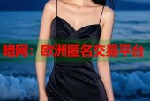 暗网：欧洲匿名交易平台