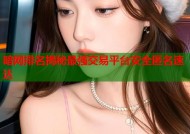 暗网排名揭秘最强交易平台安全匿名速达