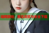 暗网禁地：匿名浏览与安全下载