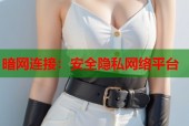 暗网连接：安全隐私网络平台