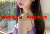 暗网隐秘交易，深网信息宝库