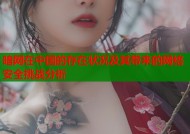 暗网在中国的存在状况及其带来的网络安全挑战分析