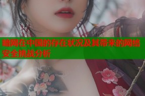暗网在中国的存在状况及其带来的网络安全挑战分析