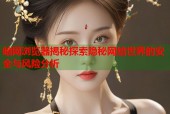 暗网浏览器揭秘探索隐秘网络世界的安全与风险分析