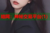 暗网：神秘交易平台(1)