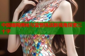 中国暗网揭秘与监管挑战新视角探索三十字