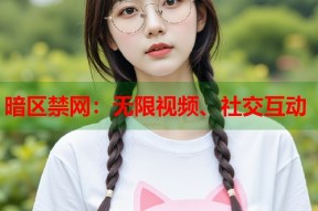 暗区禁网：无限视频、社交互动