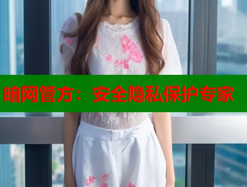 暗网管方：安全隐私保护专家  第1张
