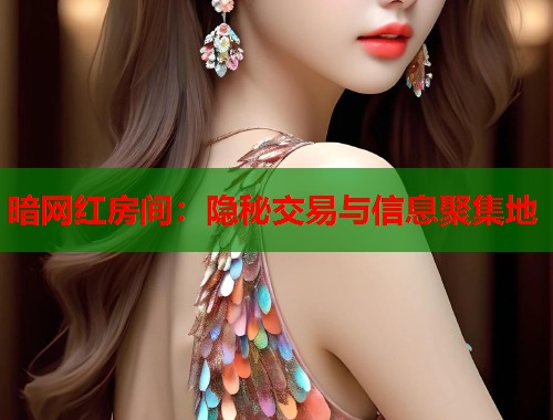 暗网红房间：隐秘交易与信息聚集地  第1张