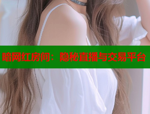暗网红房间：隐秘直播与交易平台  第2张