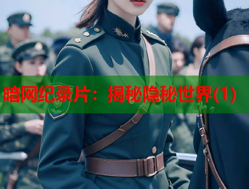 暗网纪录片：揭秘隐秘世界(1)  第1张