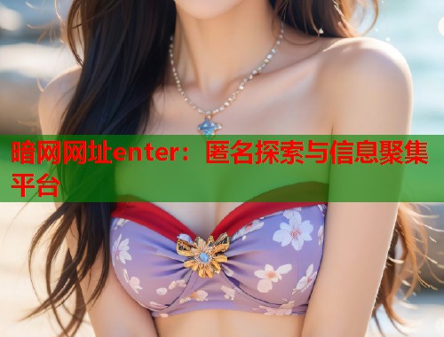 暗网网址enter：匿名探索与信息聚集平台  第1张