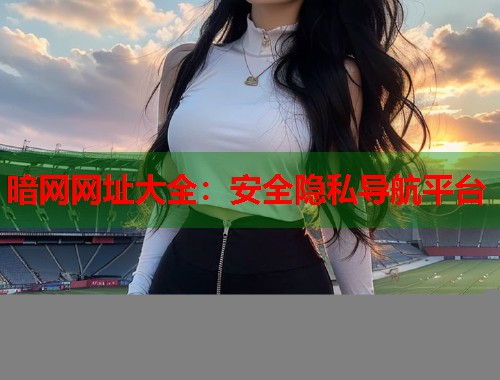 暗网网址大全：安全隐私导航平台  第1张