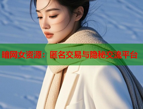 暗网女资源：匿名交易与隐秘交流平台  第2张
