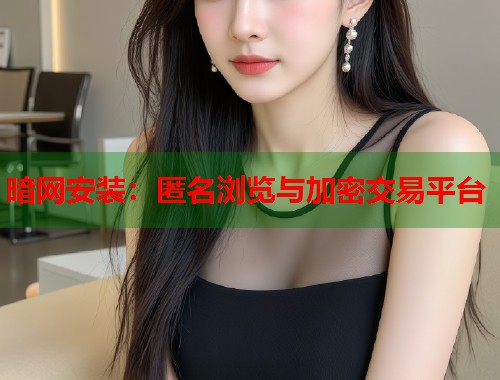 暗网安装：匿名浏览与加密交易平台  第2张